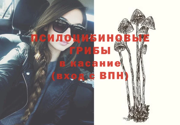 винт Баксан