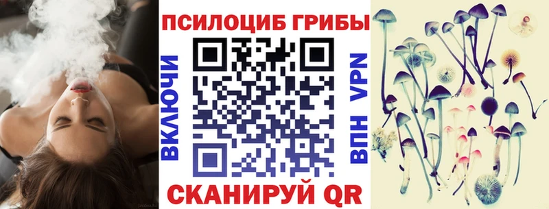 Псилоцибиновые грибы Psilocybine cubensis  цены   Красный Кут 